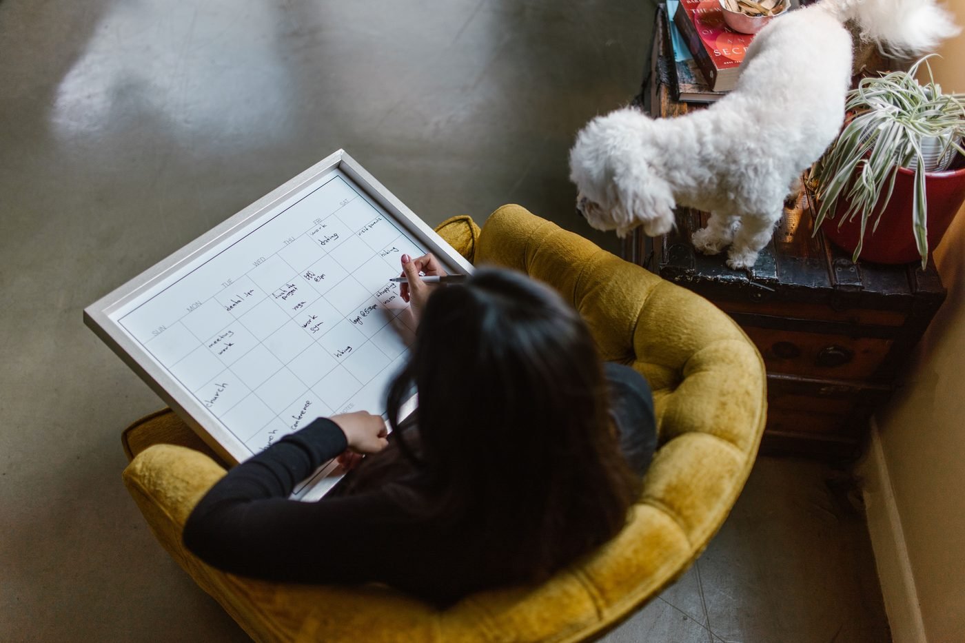 Mujer sentada en un sillón escribiendo en un planificador, con un perro pequeño a su lado.